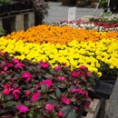 Truesdale Nursery & Landscape Services - Garden Centers