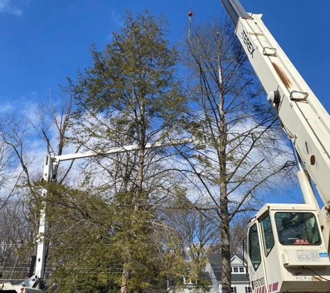 JL Tree Service - Fairfax, VA