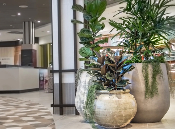 D&L Indoor Plant Hire & Garden Maintenance - Shell Cove, NSW