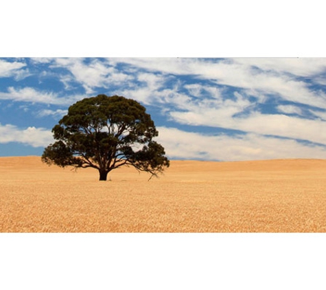 Regional Council of Goyder - Eudunda Office - Eudunda, SA. Wheat Crop, Hallett