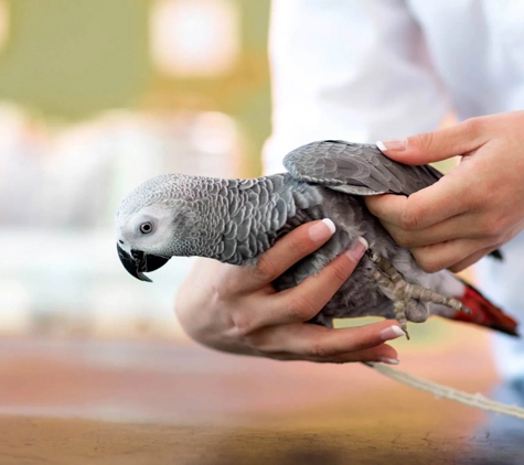 Ashcroft Veterinary Surgeons - Ashcroft, NSW