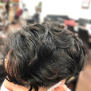 Park Jun Korean Hair Salon Straight Perm Color Wedding - Glenview, IL