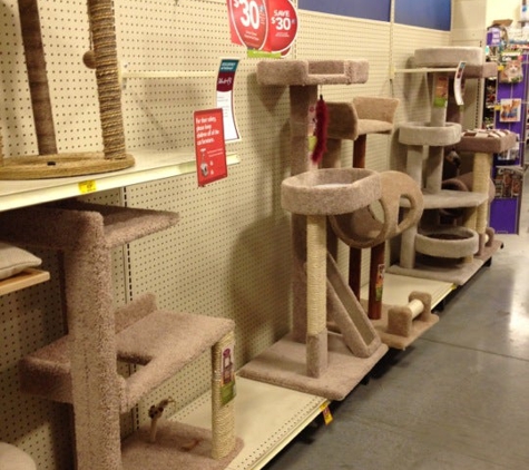 PetSmart - Cary, NC