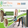 Carpet Cleaning Meadows Place TX gallery