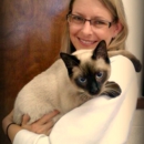 Stephanie L. Henley, DVM - Veterinarians