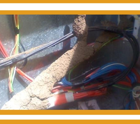 POD's Pest Control - Garbutt, QLD. We Use The Safest, Most Effective Pest Control And Termite Control Products