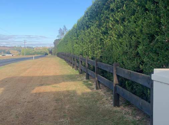 BSK tree services pty ltd