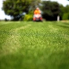 Roy's Lawn Mowing & Yard Services gallery