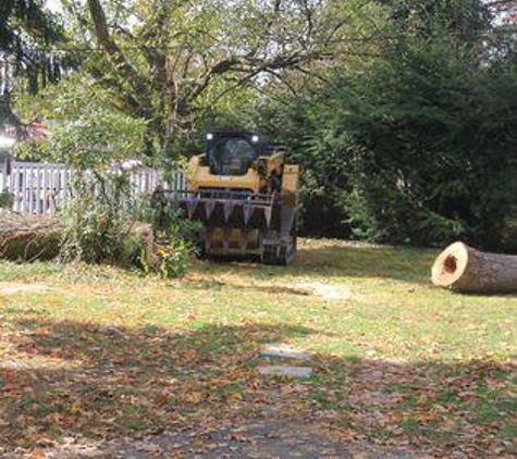 Tri-Cities Tree Service-Cabin Fever - Kingsport, TN