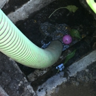 Flushaway Septic Tank Cleaning Inc.