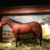 American Quarter Horse Association gallery