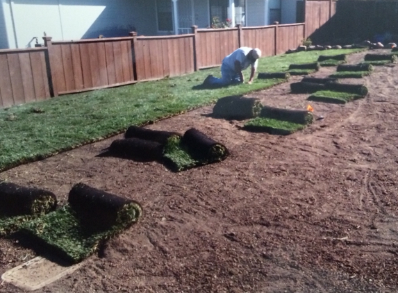 Peters Landscaping And Maintenance General Clean up or Maintenance - Bay Point, CA