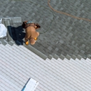 Cardinal Roofing - Roofing Contractors