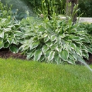 Capitol Lawn Sprinkler Inc - Sprinklers-Garden & Lawn