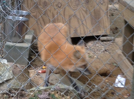 Conservators' Center - Burlington, NC