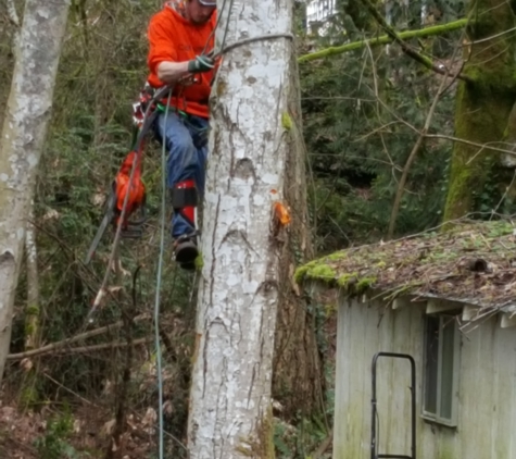 TorrisonTree Service - Port Orchard, WA