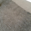 Elite Carpet Cleaning gallery