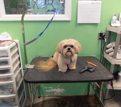 Dogma Grooming & Pet Gifts - Evans, GA