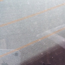 Photo #11