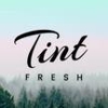 Tint Fresh gallery