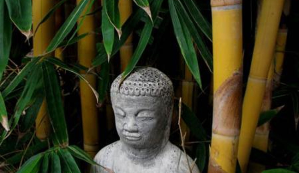 Bamboos Wholesale - Boreen Point, QLD