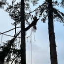 Air Arborist - Arborists