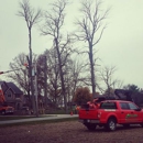 Dependable Tree Service, Inc - Tree Service