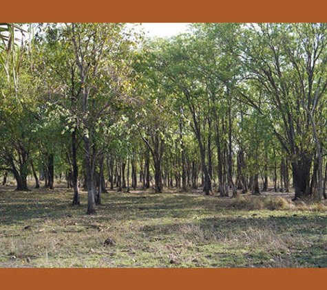 Roper Gulf Regional Council - Mataranka, NT