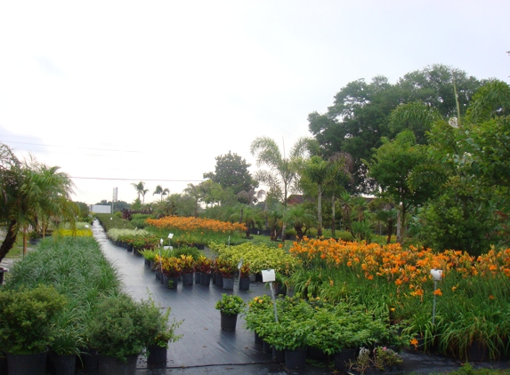 Infante Services - Odessa, FL. Odessa Landscape Nursery