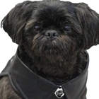 Axel Roze Pets