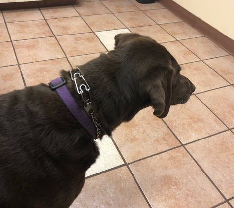 Forest Creek Animal Hospital - Round Rock, TX