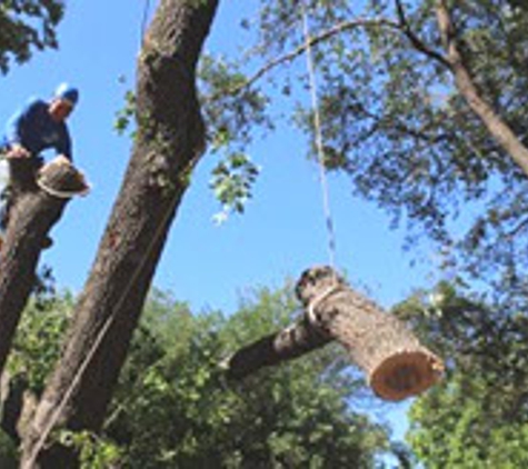 C.I.R. Tree Service - Houston, TX