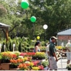 Green Thumb Nursery gallery