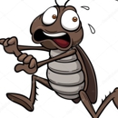 Cool Enterprises Inc - Termite Control