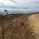 Ed Levin County Park - Parks