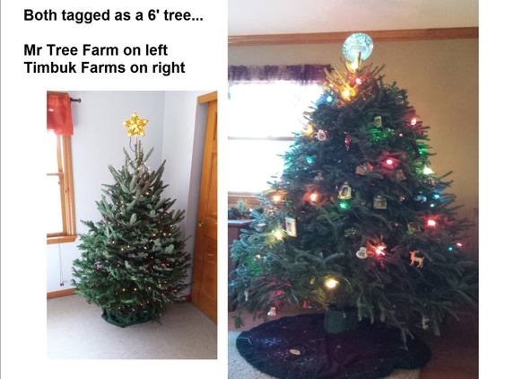 Mr Tree Farm - Blacklick, OH. No comparison!