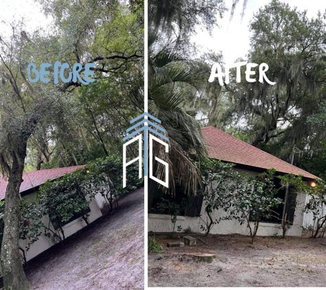 Against The Grain Tree Care - Palm Coast, FL