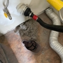 EVO Dryer Vent Cleaning