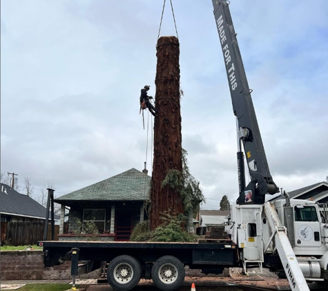 August Hunicke Arborists Inc.