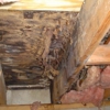 Bioclean Mold Remediation gallery