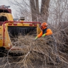 Joe Benigno's Tree Service gallery