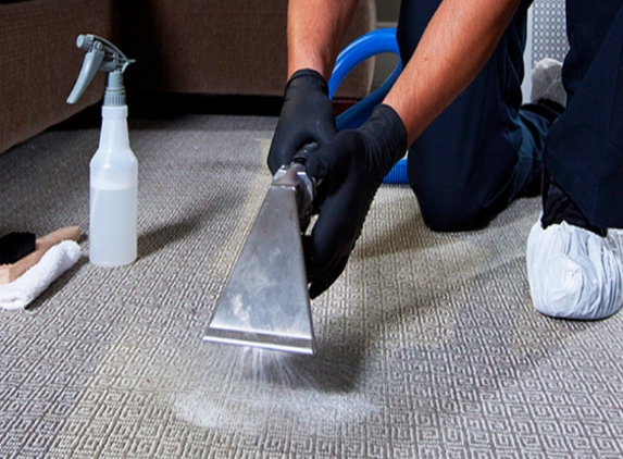 Carpet Cleaners Pearland Texas - Pearland, TX