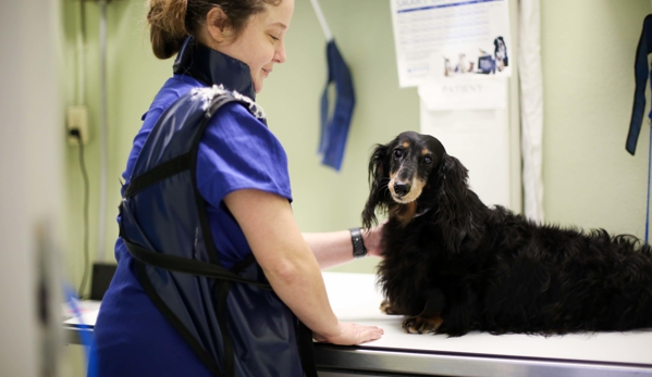 Animal Hospital of Dunedin - Dunedin, FL