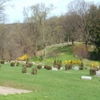 Sewickley Cemetery gallery