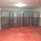 Doggie Daycare