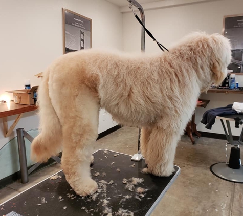 L.C.S. Grooming - Iowa City, IA