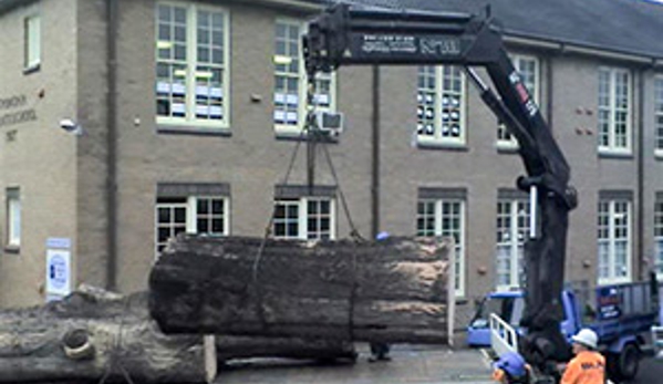 Walton's Tree Care Services - Woonona, NSW