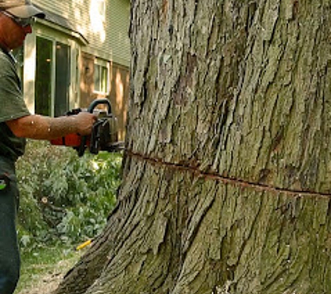 Oakland Tree Service - Rochester Hills, MI