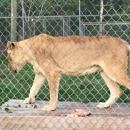 Catty Shack Ranch Wildlife Sanctuary - Wildlife Refuge