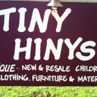 Tiny Hinys